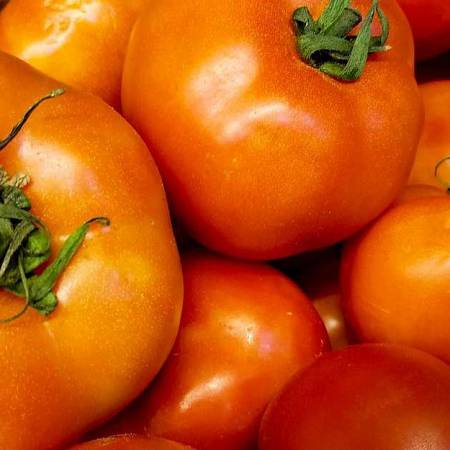 Pestisida Berkualitas